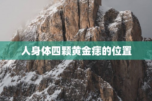 人身体四颗黄金痣的位置