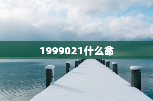 1999021什么命