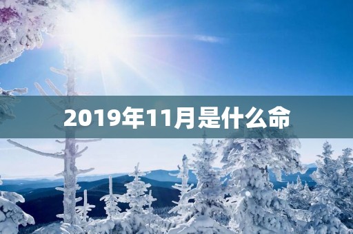 2019年11月是什么命