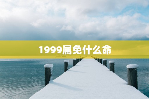 1999属免什么命