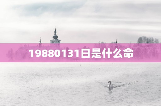 19880131日是什么命