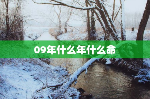 09年什么年什么命