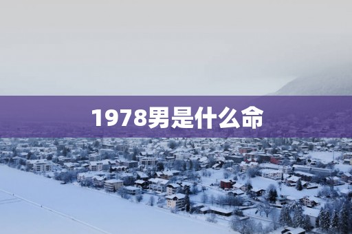 1978男是什么命