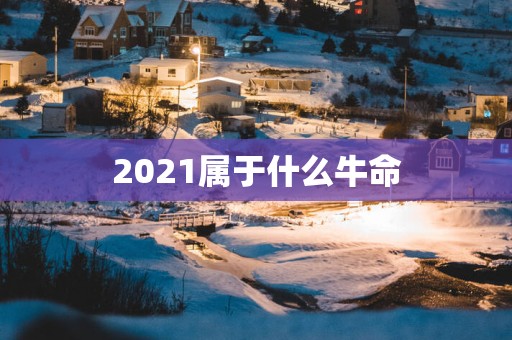 2025属于什么牛命