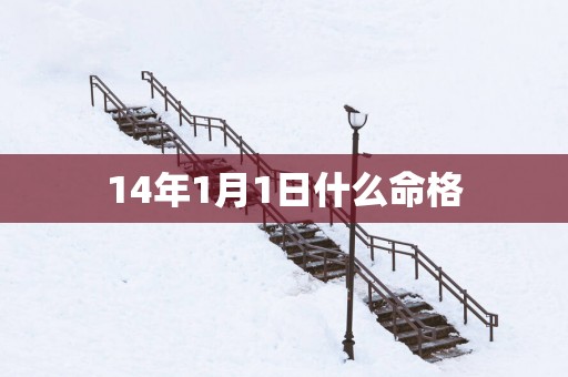14年1月1日什么命格