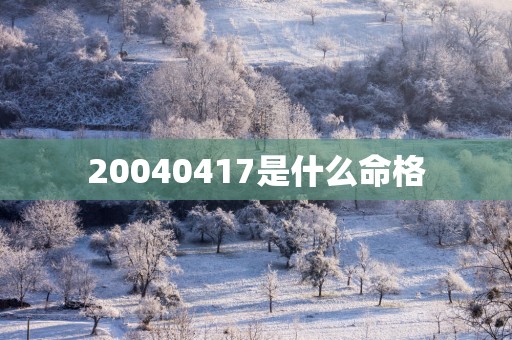 20040417是什么命格