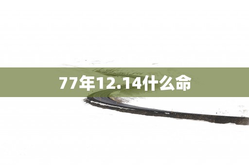 77年12.14什么命