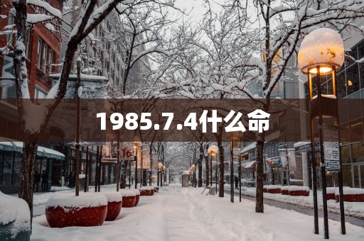 1985.7.4什么命