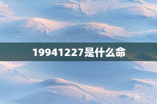 19941227是什么命
