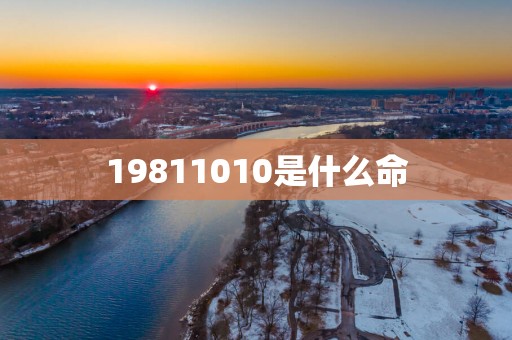19811010是什么命
