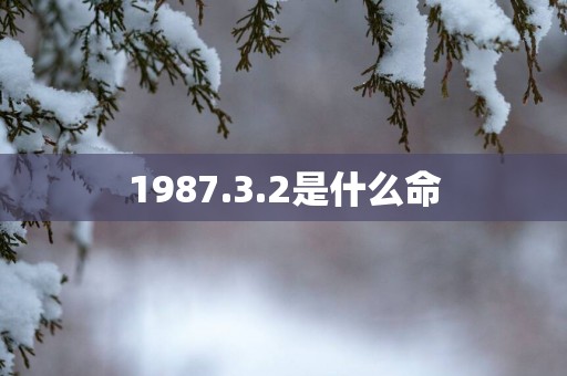 1987.3.2是什么命