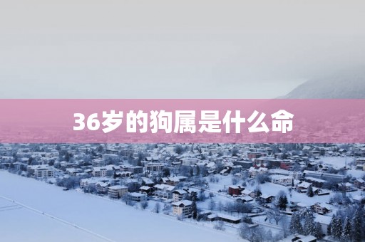 36岁的狗属是什么命