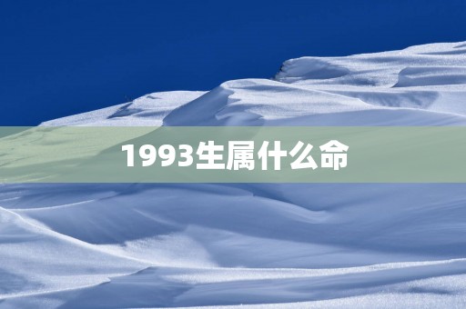 1993生属什么命