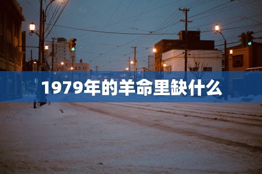 1979年的羊命里缺什么
