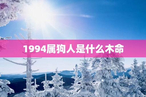 1994属狗人是什么木命