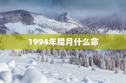 1994年腊月什么命