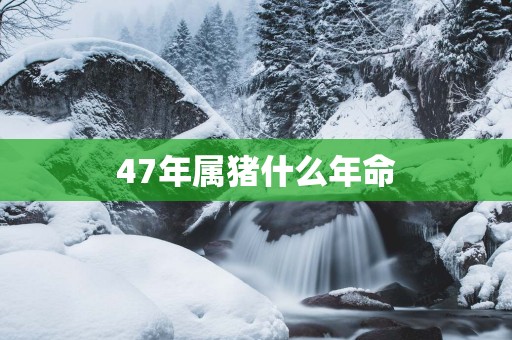 47年属猪什么年命