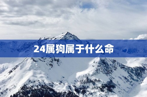 24属狗属于什么命