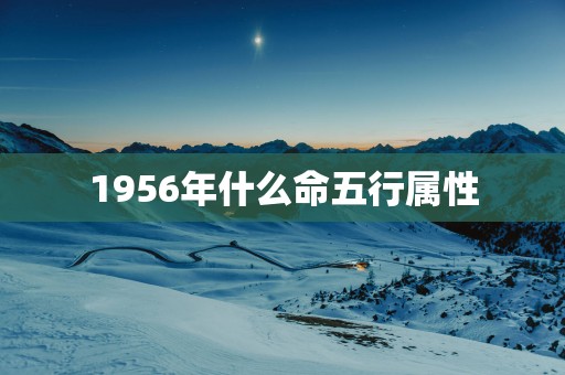 1956年什么命五行属性