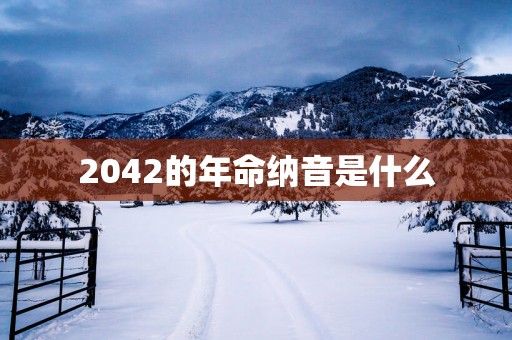 2042的年命纳音是什么