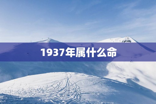 1937年属什么命