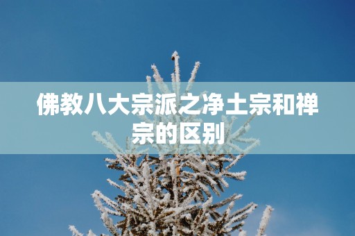 佛教八大宗派之净土宗和禅宗的区别
