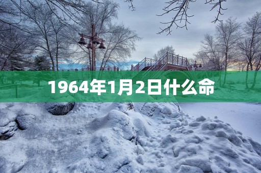 1964年1月2日什么命