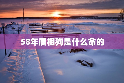 58年属相狗是什么命的