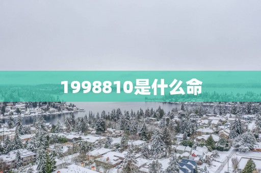 1998810是什么命