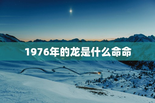 1976年的龙是什么命命