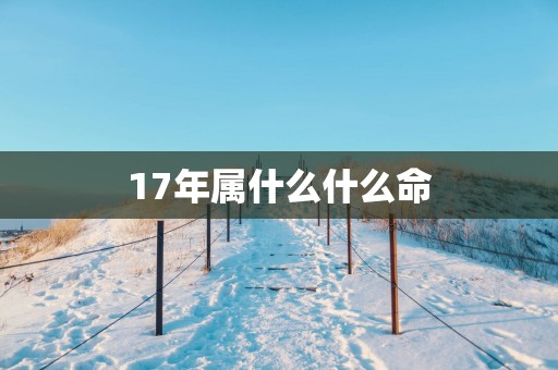 17年属什么什么命