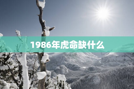 1986年虎命缺什么
