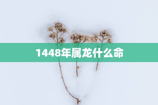 1448年属龙什么命