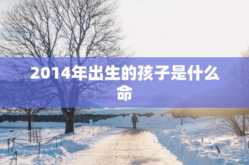 2014年出生的孩子是什么命