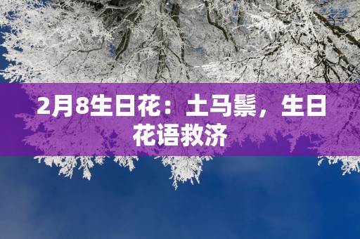 2月8生日花：土马鬃，生日花语救济