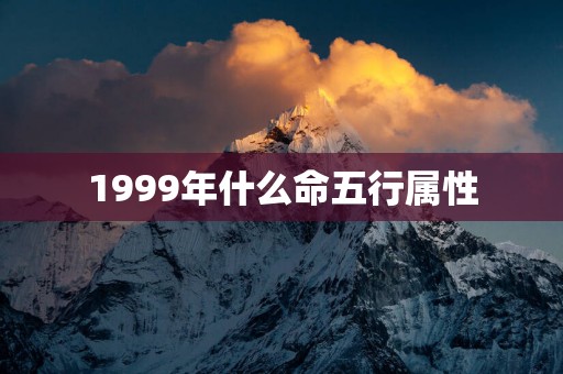 1999年什么命五行属性