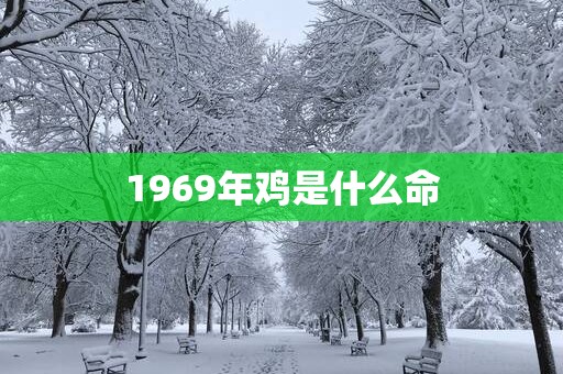 1969年鸡是什么命