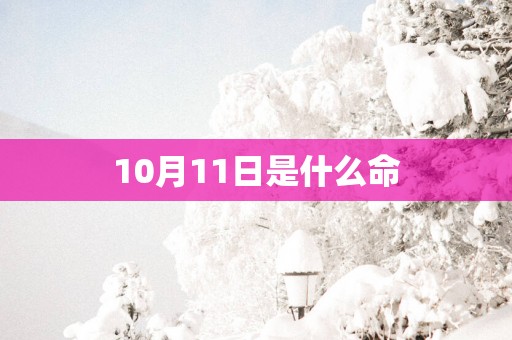 10月11日是什么命