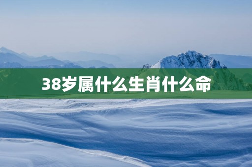 38岁属什么生肖什么命