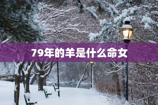 79年的羊是什么命女