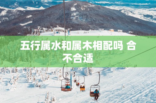 五行属水和属木相配吗 合不合适