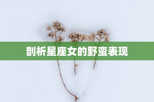 剖析星座女的野蛮表现