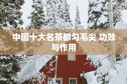 中国十大名茶都匀毛尖 功效与作用