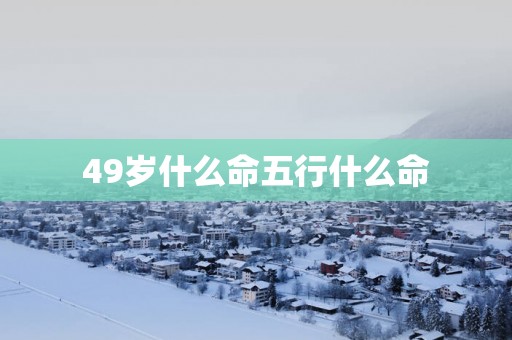49岁什么命五行什么命