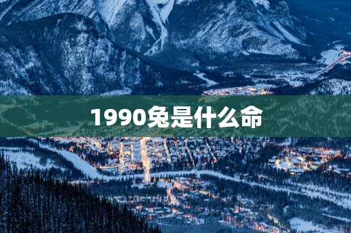 1990兔是什么命