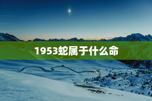 1953蛇属于什么命