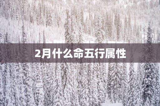 2月什么命五行属性