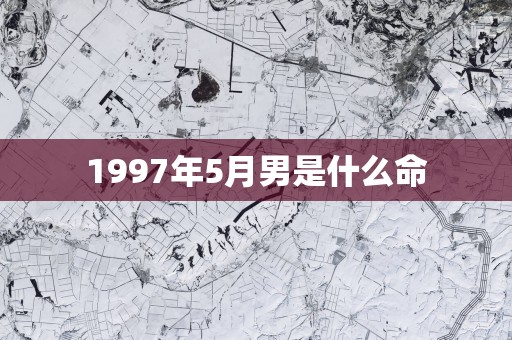 1997年5月男是什么命