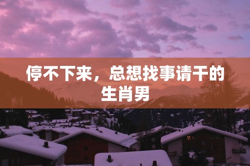 停不下来，总想找事请干的生肖男