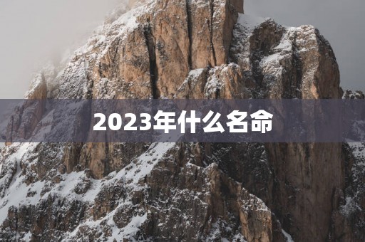 2025年什么名命